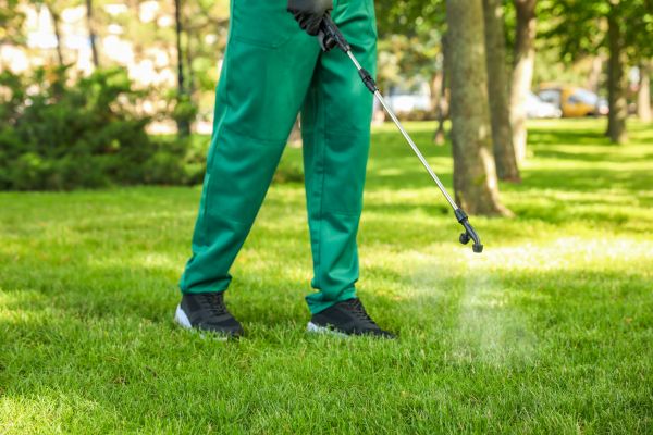 Phoenix Lawn Treatment