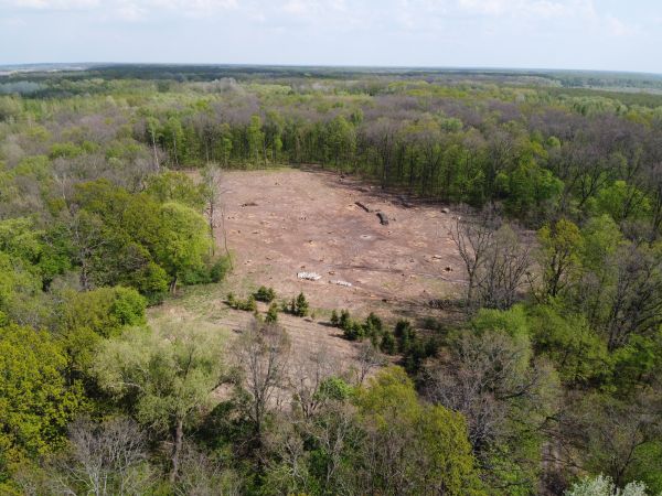 Phoenix Land Clearing