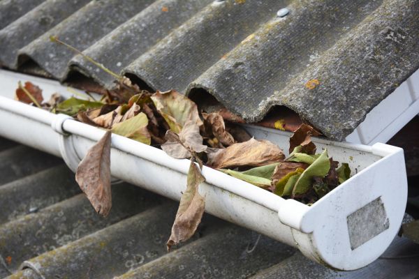 Phoenix Gutter Cleaning